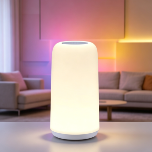 RGB Touch Bedside Table Lamp